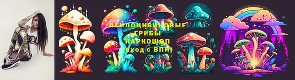прущие грибы Балабаново