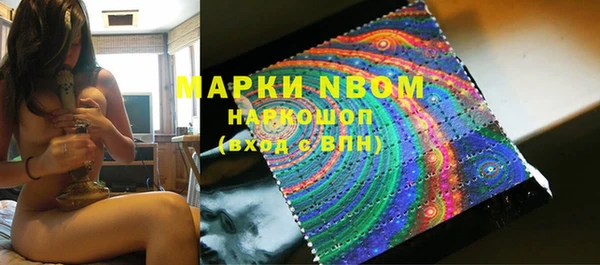 ПСИЛОЦИБИНОВЫЕ ГРИБЫ Баксан