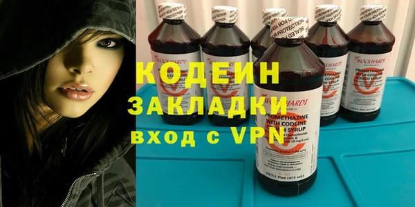 прущие грибы Балабаново