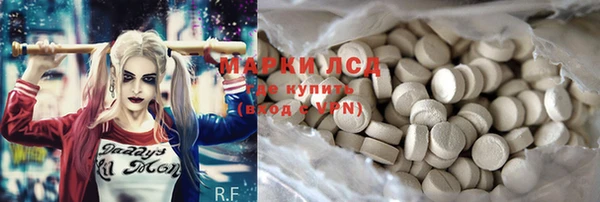 прущие грибы Балабаново