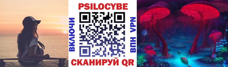 где купить наркотик  darknet наркотические препараты  Псилоцибиновые грибы Psilocybe  Балей 
